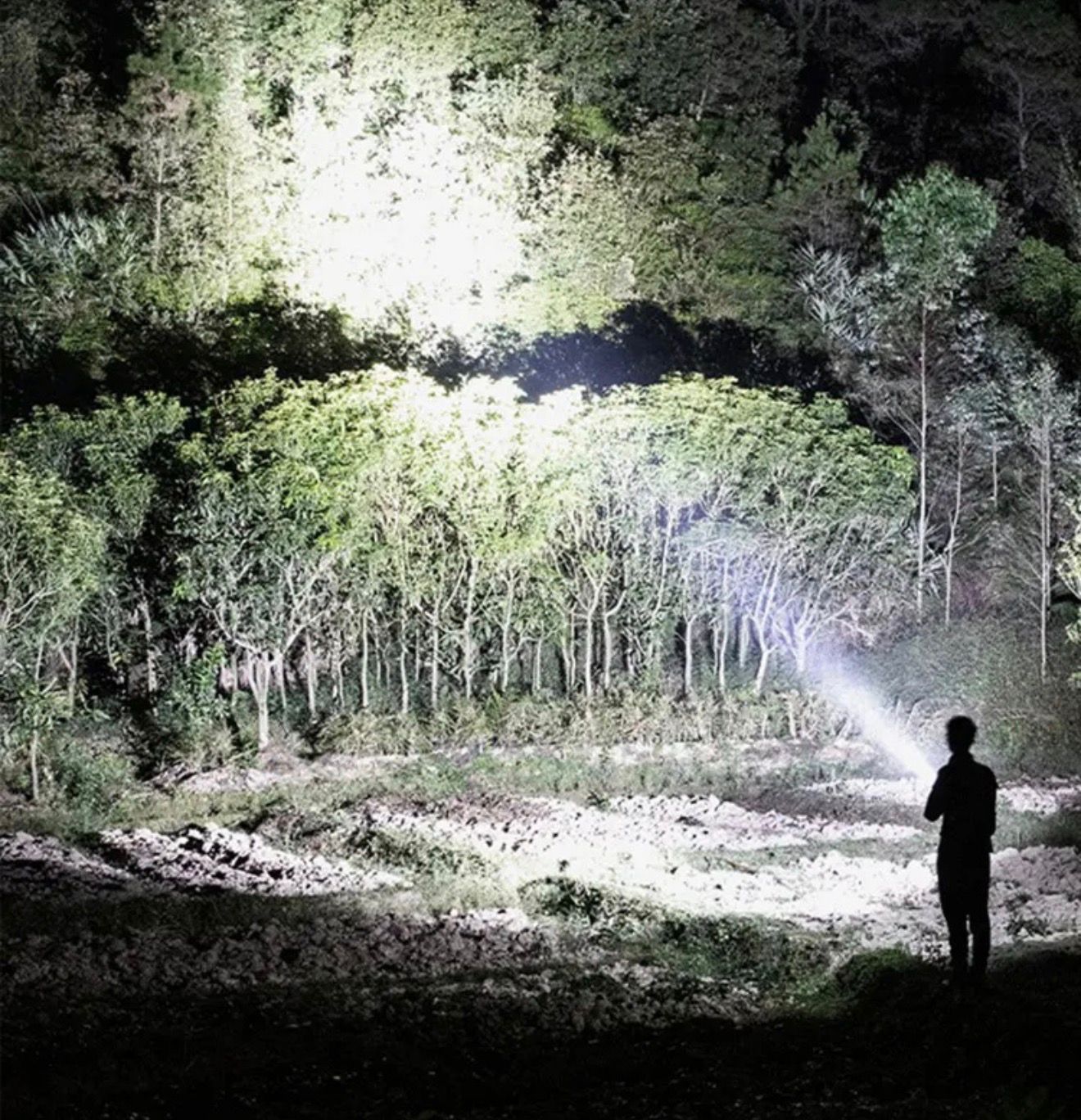Lanterna LED Puternica 10W, PRO LIGHT 4, Baterie 1200mAh, 4 Moduri Iluminare, Incarcare USB, IPX5 Rezistenta la Apa, Trepied Inclus, Lumina Puternica pentru Camping, Pescuit si Urgente