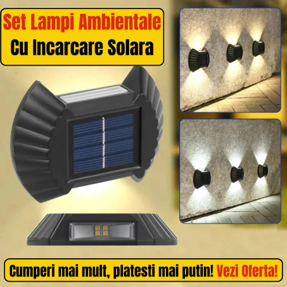 SET 12 LAMPI SCOICA