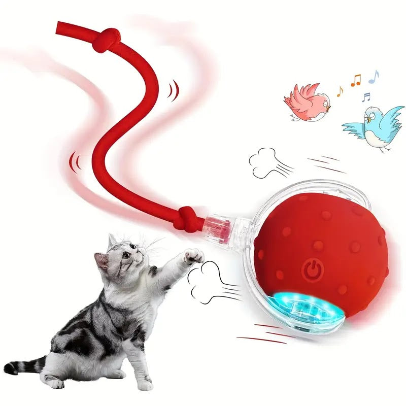 🐾 Jucărie Interactivă pentru Animale – Activare la Atingere