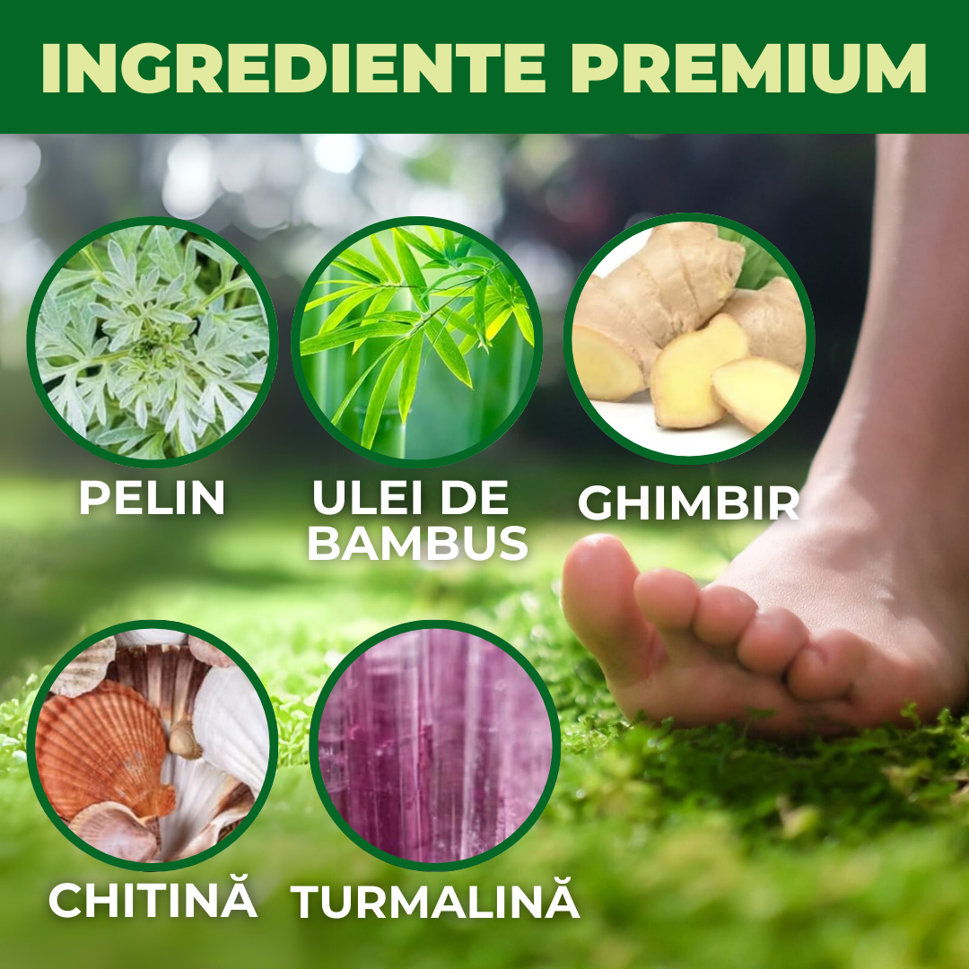 Plasturi Detoxifiere (set de 8 bucati)