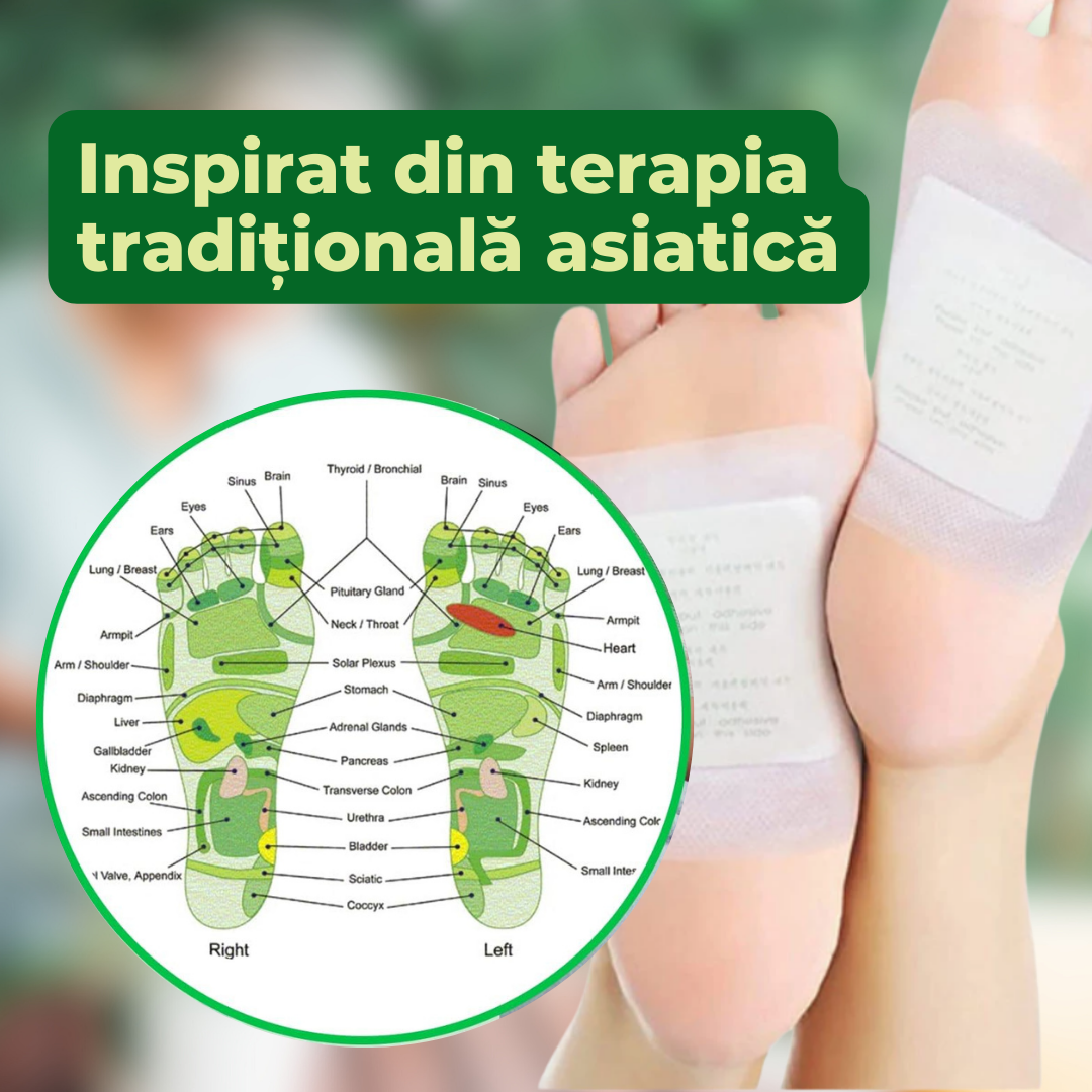 Plasturi Detoxifiere (set de 8 bucati)