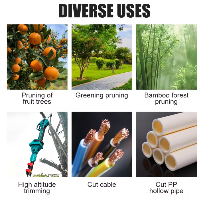 Foarfeca Electrica cu 1/2 Acumulatori 24V, 1.6M Tija Telescopica, pentru vie, pomi si crengi + CUTIE DEPOZITARE SI MANUSI GRADINARIT CADOU